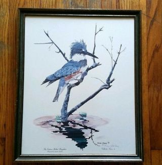 Gene Gray Framed Eastern Belted Kingfisher 1971 Signed Numbered 844/1000