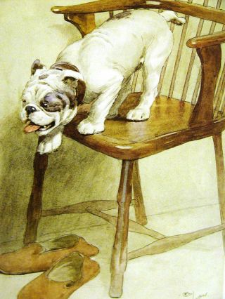 Cecil Aldin Bulldog Bull Dog On A Spindle Back Chair 1913 Antique Print Matted