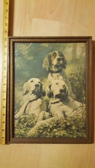 Antique Print Of Hunting Dogs