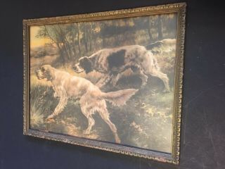 Antique Hunting Dog Print Framed Irish Setter Spaniel 12 - 1/2 X 9 - 3/4 In