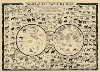 Early Pictorial Map Dogs Of All Nations Kennel Club Poster Print Wall Dog Decor