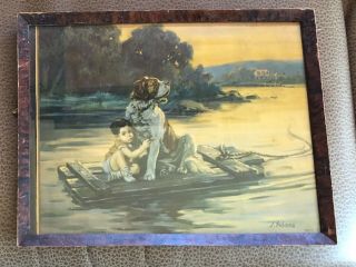 Antique Rescued Little Boy Saint Bernard Dog J Adams Bd 1936 Framed Art Print Us