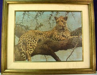 Gary Swanson Leopard In Tree Hand Signed Numbered Limited Edition Print Framed