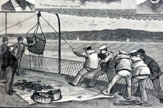 Oyster Propagation 1884 COMMISSONERS RICE and BLACKFORD CLAMS SPIDER CRAB Print 5