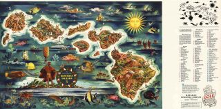 Pictorial Dole Map Hawaiian Islands Vintage Wall Art Poster Print Decor