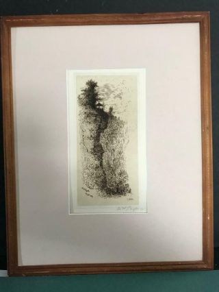Amos Sangster Antique Etching From Set Of Niagra.  Falls Museum Framed Ready To Go