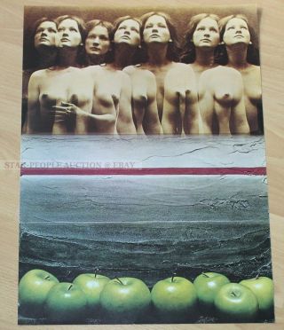 Sam Haskins - Woman Very Rare Poster From 1972 Apple Nude
