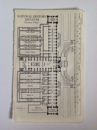 Natural History Museum,  Ground Floor,  Plan,  1920 Vintage Map,