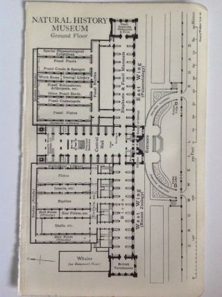 Natural History Museum,  Ground Floor,  Plan,  1920 Vintage Map, 2