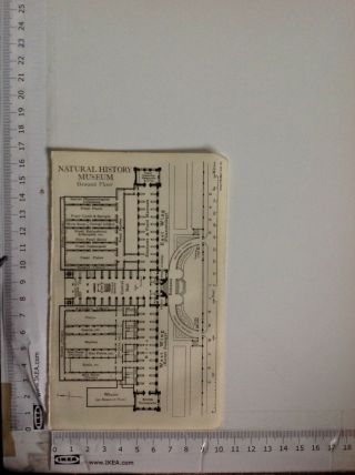 Natural History Museum,  Ground Floor,  Plan,  1920 Vintage Map, 3