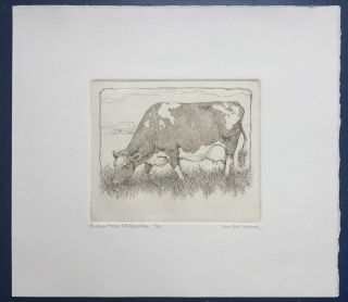 Susan Hunt - Wulkowicz Etching - Cow,  1976 Limited Edition Print (2/40)