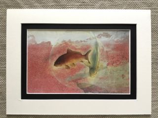 1985 Vintage Japanese Print Yoshihiro Shimoda Koi Carp Fish Nihonga Modern Art
