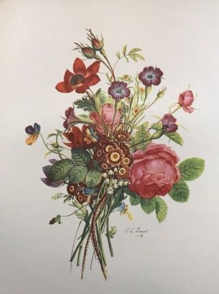 Set of 6 Jean Louis Prevost: Bouquets Portfolio of 6 Floral Prints 16”x20” 1945 5