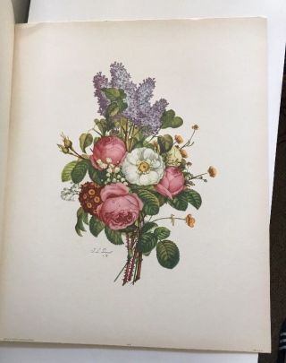 Set of 6 Jean Louis Prevost: Bouquets Portfolio of 6 Floral Prints 16”x20” 1945 6