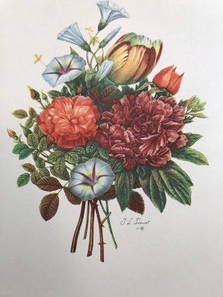 Set of 6 Jean Louis Prevost: Bouquets Portfolio of 6 Floral Prints 16”x20” 1945 8