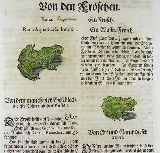 1669 Frogs - Conrad Gesner - Folio - 3 Woodcuts - Hand Coloured