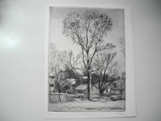 Frank Stack Pencil - Signed Etching Tree In Spring