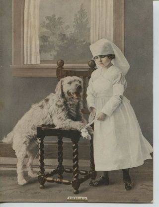 1910 Era Vintage Print Cute Girl Nurse Bandaging Dog 