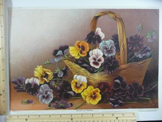 Rare Antique Orig Vtg 1896 Basket Of Pansies Henri Le Roy Color Litho Art Print