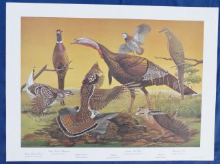 " Upland Birds " Print By Ray Harm,  22 1/2 " X 30 ",  Signed,  1967