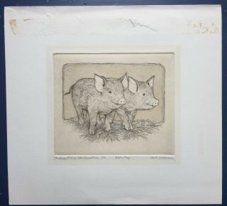 Susan Hunt - Wulkowicz Etching - Baby Pigs,  1975 (1/50)
