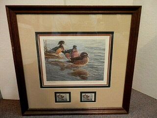 John Seerey - Lester 1988 1989 Wood Duck Art Print And Stamps Signed