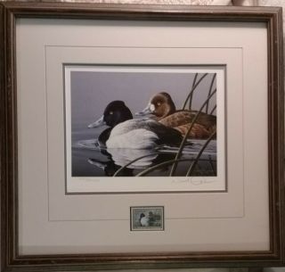 Neal R.  Anderson 1989 - 1990 Federal Duck Stamp Print Limited Edition 1653/20000