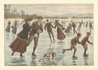 A.  B.  Frost,  Ice Skating,  Boston Bull Terrier,  Dog,  Color 1904 Antique Art Print,