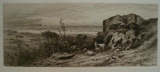 James Smillie American Etching,  At Marblehead Neck,  1883,  Plate Signed