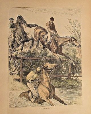 Steeplechasing,  Equestrian,  Horse Racing,  Sport,  Vintage 1871 Antique Art Print