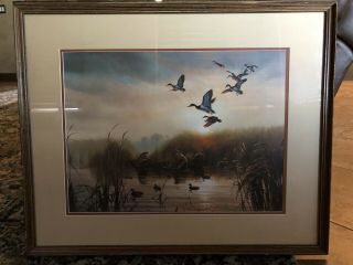 1984 “early Visitors”,  Ducks Unlimited,  Signed John C.  Green,  Numbered 579/900