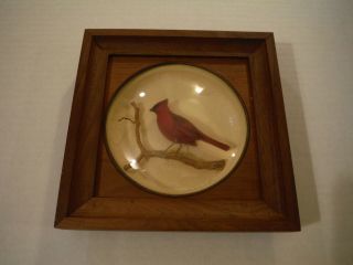 Vintage Wood Framed Red Cardinal Shadow Box Picture Glass Front 1970 W Rembold