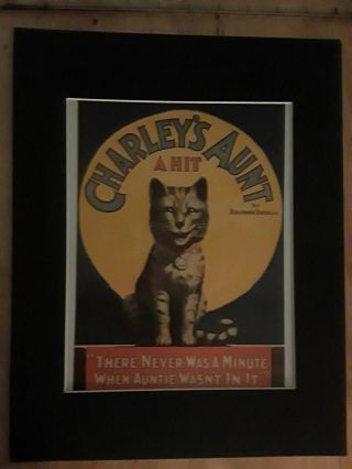 Cat Print: " Charley 