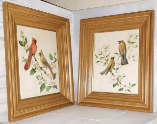 Vintage Rudolf Freund Framed Birds Set Of 2 Lithograph Prints Thick Frames