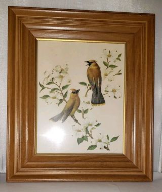Vintage Rudolf Freund Framed Birds Set of 2 Lithograph Prints Thick Frames 2