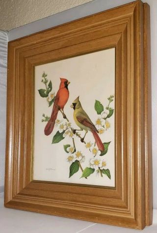Vintage Rudolf Freund Framed Birds Set of 2 Lithograph Prints Thick Frames 3