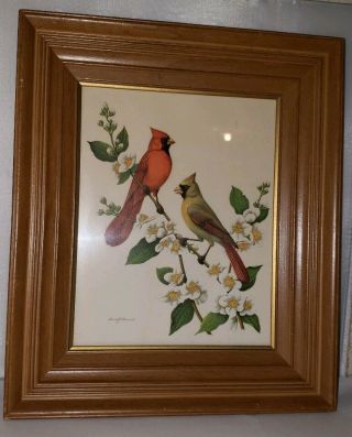 Vintage Rudolf Freund Framed Birds Set of 2 Lithograph Prints Thick Frames 4