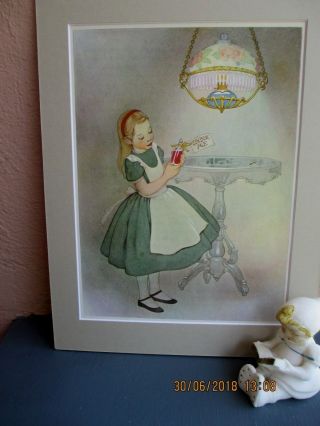 Vintage Illustration Of Alice In Wonderland By Marjorie Torrey 1955