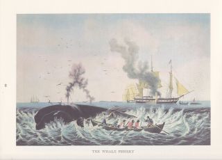1974 Vintage Currier & Ives Whaling " The Whale Fishery " Color Lithograph