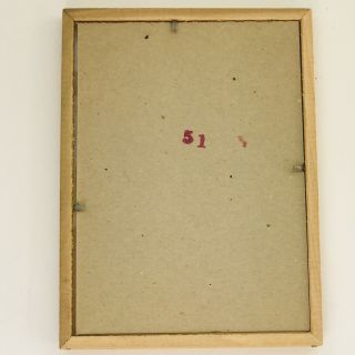 Vintage J Gould Framed Bird Print Parakeets Color 5” x 7” Wooden Frame 2