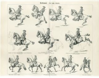 1895 Horse Equestrian High School Riding Antique Engraving Print
