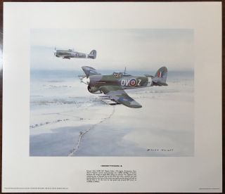 Aviation Aircraft Print By Artist Brian Knight Hawker Typhoon I.  B Last One