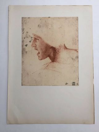 Vintage 1957 Art Print Master Drawing Leonardo Da Vinci - Warrior - Red Head