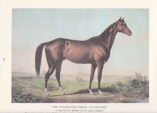 1974 Vintage Currier & Ives Horse Racing " Lexington " Celebrated 1855 Color Litho
