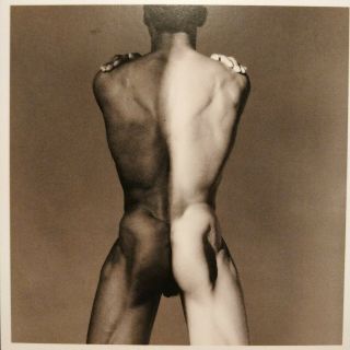 Vintage,  Gay,  S&m Photo Art Robert Mapplethorpe Titled (daniel N.  Y.  C.  1981)