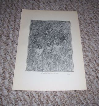 1900 Antique Print Natives In Madagascar Wilds Shows Three Native Women