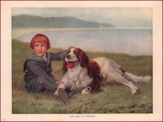 English Springer Spaniel & Boy,  Best Friends,  Vintage Print Authentic 1927