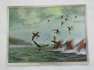 Vintage David Maass Out Of The North Ducks Color Foil Etch Print