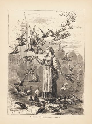 Lady Feeding Pigeon Birds On Cathedral Grounds Birds Antique Print 1886