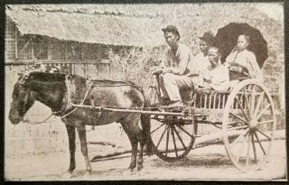 1899 A Tagalog Family Out For A Drive In A Cartela Philippines Photo Print